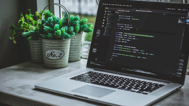 safar-safarov-MSN8TFhJ0is-unsplash